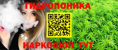 гидропоника Тара