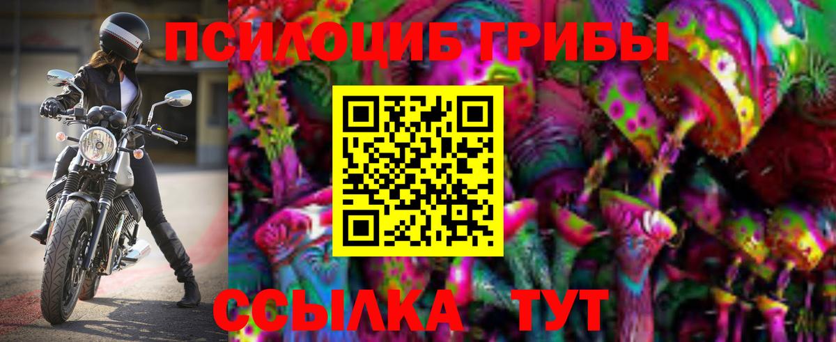 Альметьевск  Галлюциногенные грибы мицелий  Вход с VPN 